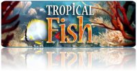 Tropical Fish 3D Screensaver v1.1 build 5