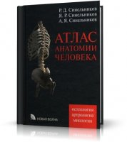 Атлас анатомии человека (4 тома из 4) | Атлас | RUS | 1996 | PDF