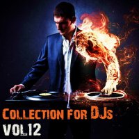 Collection for Djs vol.12 (2010, mp3)