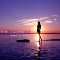 VA - Delorem - Erotic Moment 1 (2010)