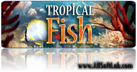 Tropical Fish 3D Screensaver v1.1 build 5