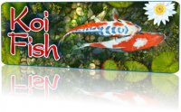 Koi Fish 3D Screensaver v1.0 build 1