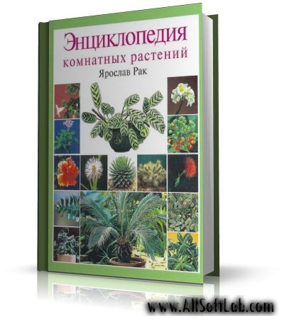 Энциклопедия Комнатных Растений Фото