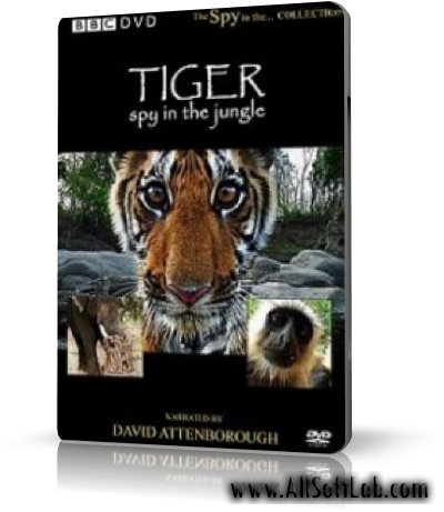 BBC: Тигр: Шпион джунглей / BBC: Tiger: Spy in the Jungle | 2008 | RUS | DVDRip