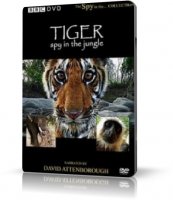 BBC: Тигр: Шпион джунглей / BBC: Tiger: Spy in the Jungle | 2008 | RUS | DVDRip