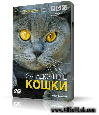 BBC: Загадочные кошки | 2002 | AVI