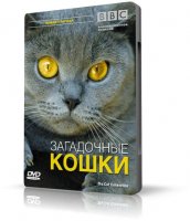 BBC: Загадочные кошки | 2002 | AVI