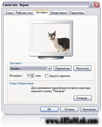 Monitor Cat 1.0 (здоровый кот по ту сторону экрана)