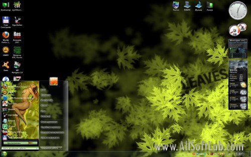 Тема для Windows 7 "LEAVES" + ИКОНКИ