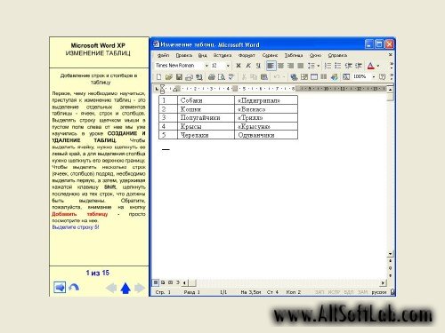 Самоучитель Microsoft Word XP. Интерактивные видеоуроки | 2004