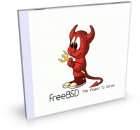 FreeBSD: Базовый и сетевой курс по FreeBSD, Программируй на Unix Shell - Г.Чилингаров [2007, RUS]