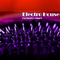 Electro House: Exclusive Chart (2010)