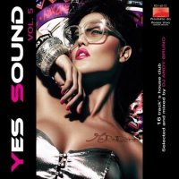 VA - Yes Sound Vol.5 (2010)